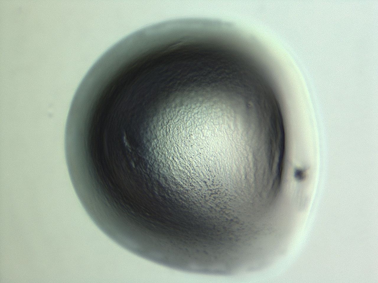 04hv_H11_ImagerDefaults_3.jpg
