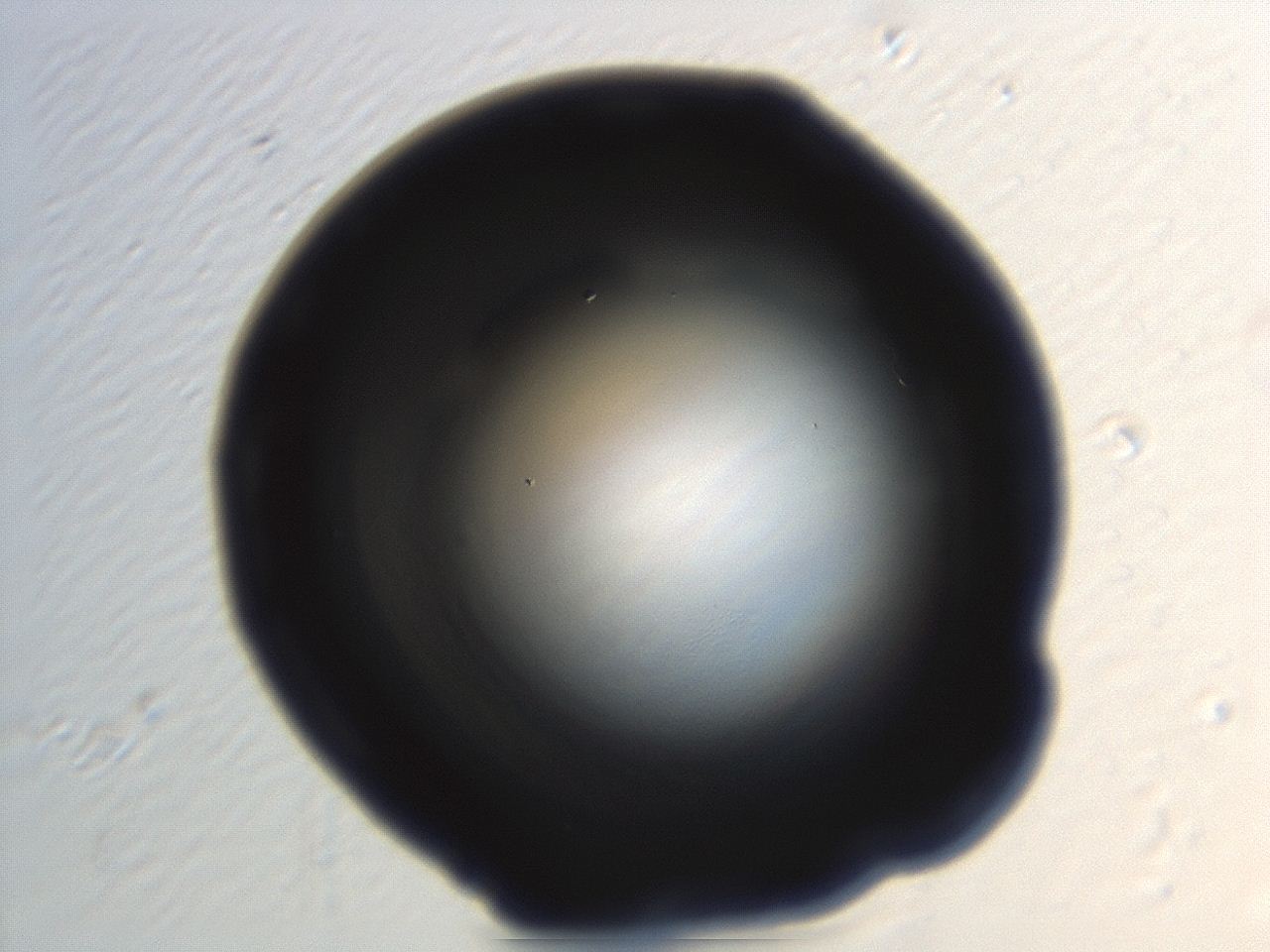 04hv_H12_ImagerDefaults_0.jpg