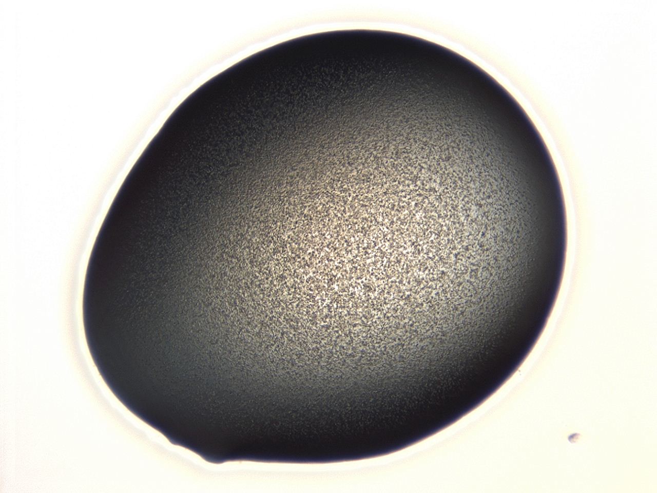 04hw_A3_ImagerDefaults_3.jpg