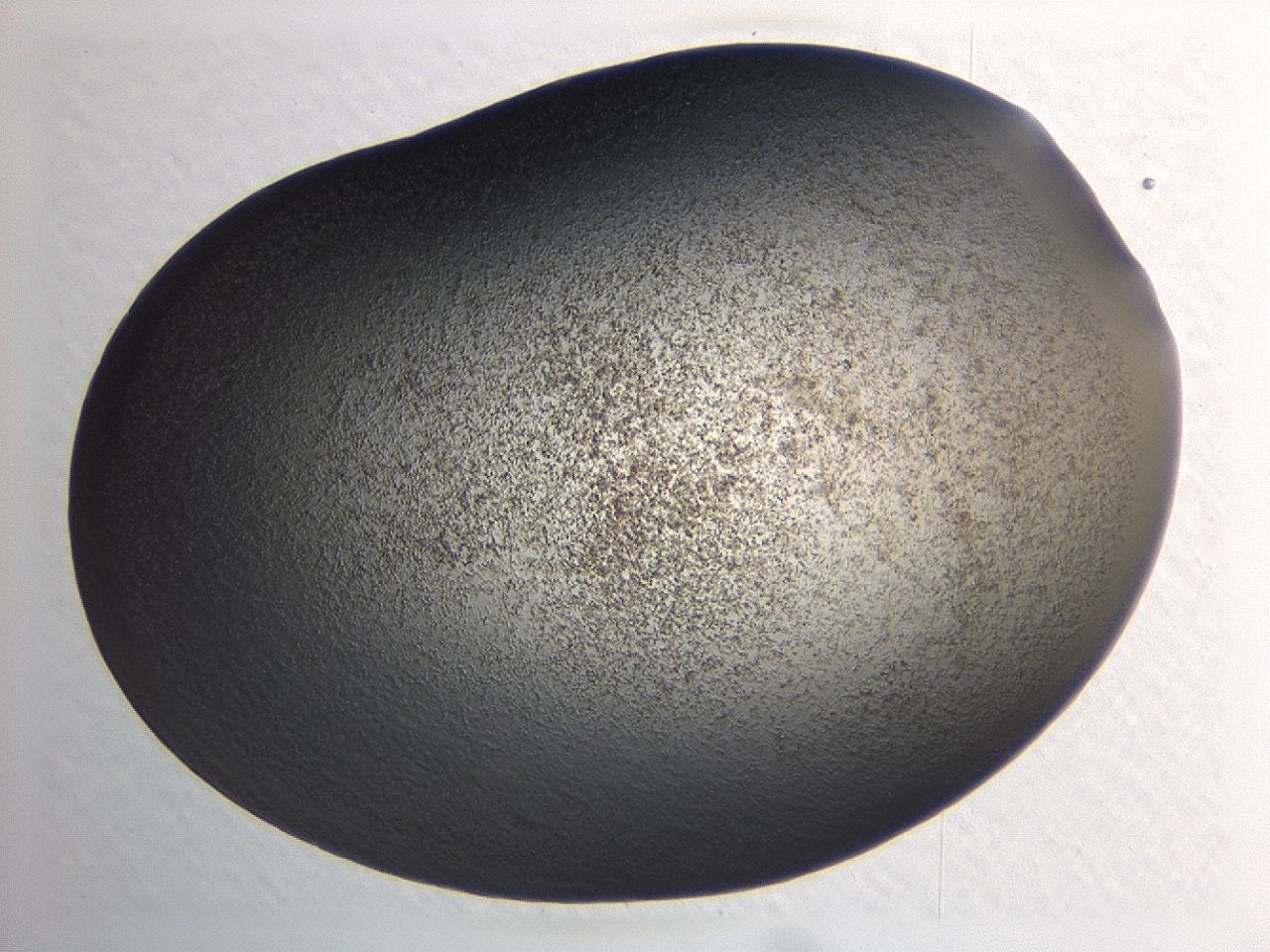 04hw_A2_ImagerDefaults_3.jpg