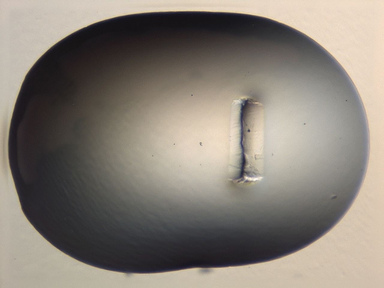 04hw_A1_ImagerDefaults_0.jpg