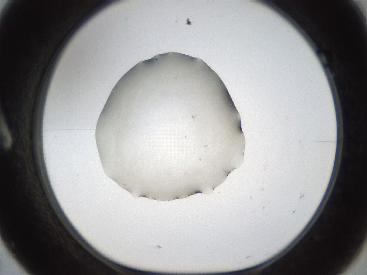 folderID289_plateID1289_batchID4128_wellNum7_profileID1_d1_r77278_ef.jpg