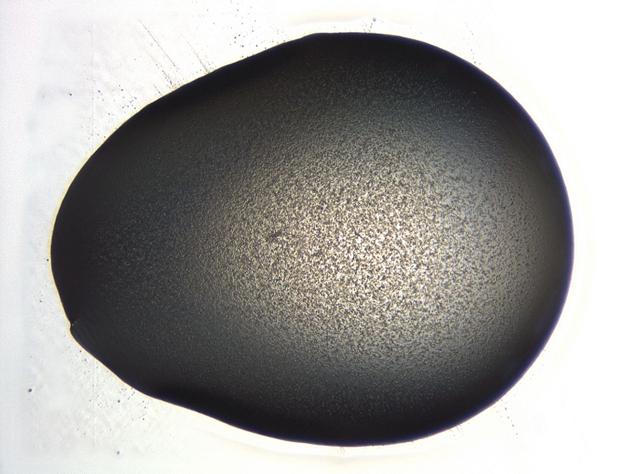 04hw_A6_ImagerDefaults_3.jpg