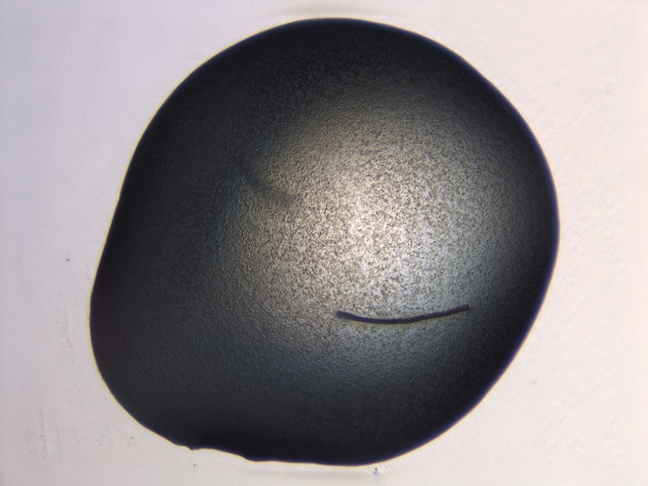 04hw_B5_ImagerDefaults_3.jpg