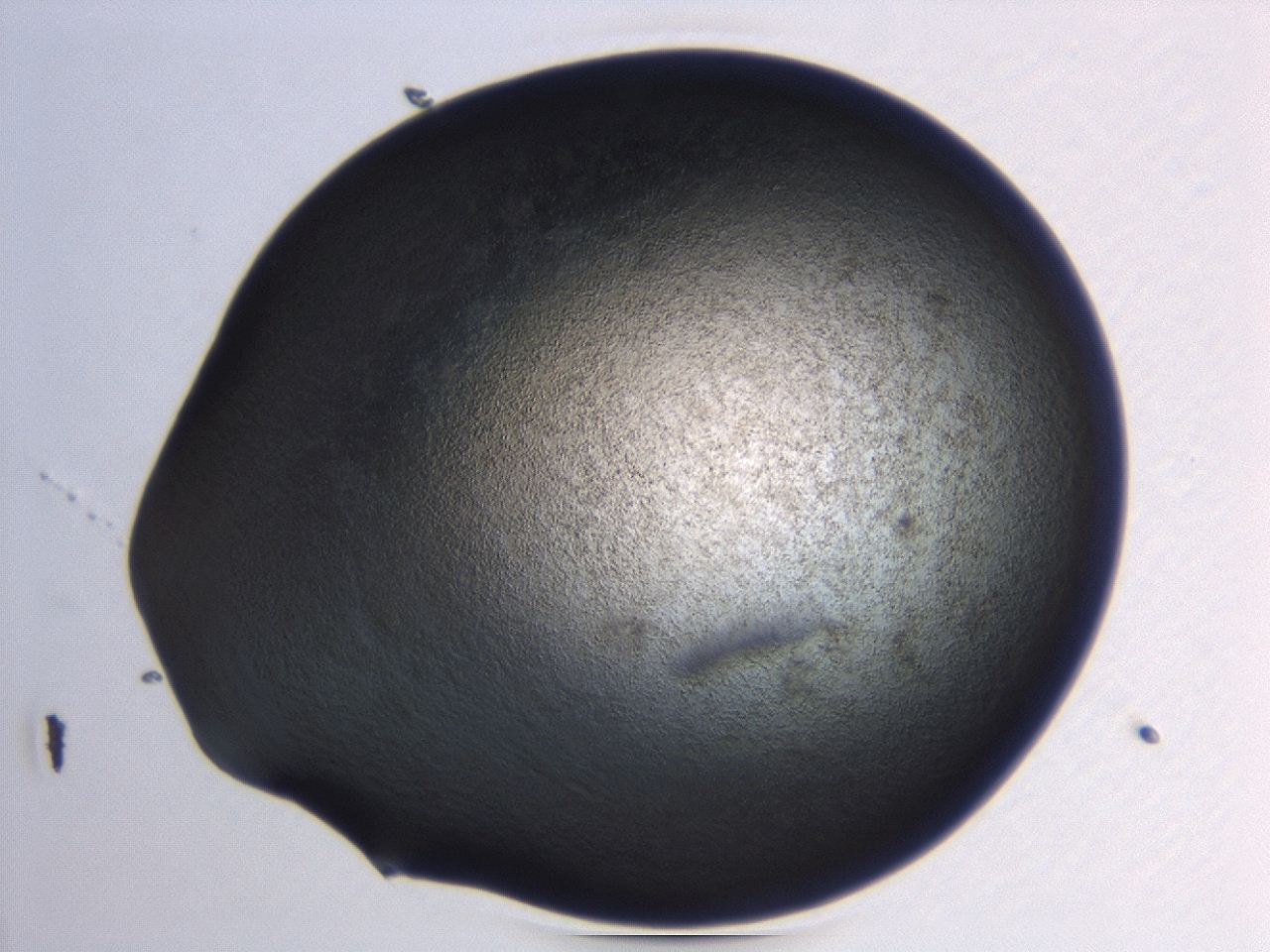 04hw_B4_ImagerDefaults_3.jpg