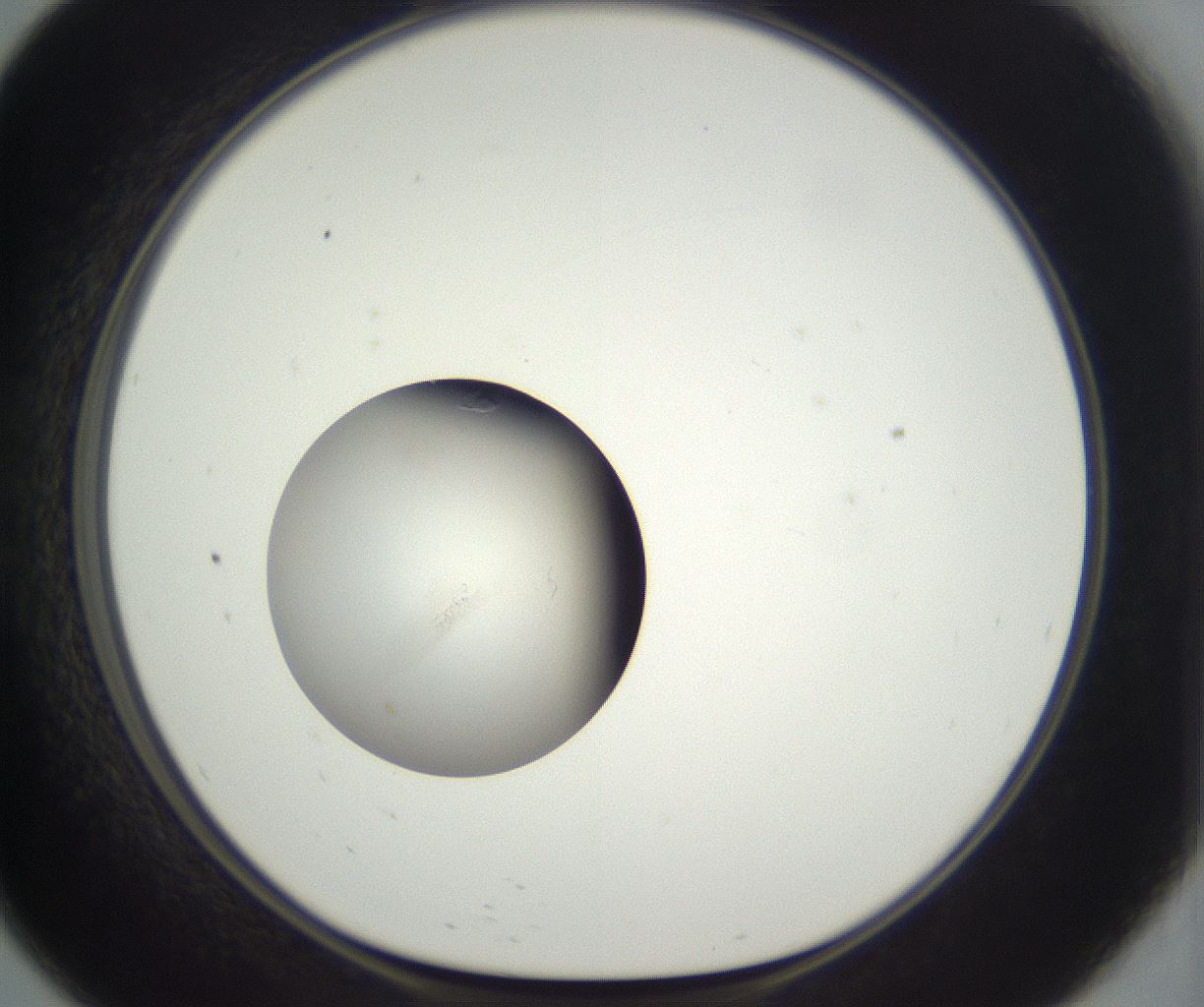 folderID292_plateID3292_batchID18878_wellNum57_profileID1_d1_r290220_ef.jpg