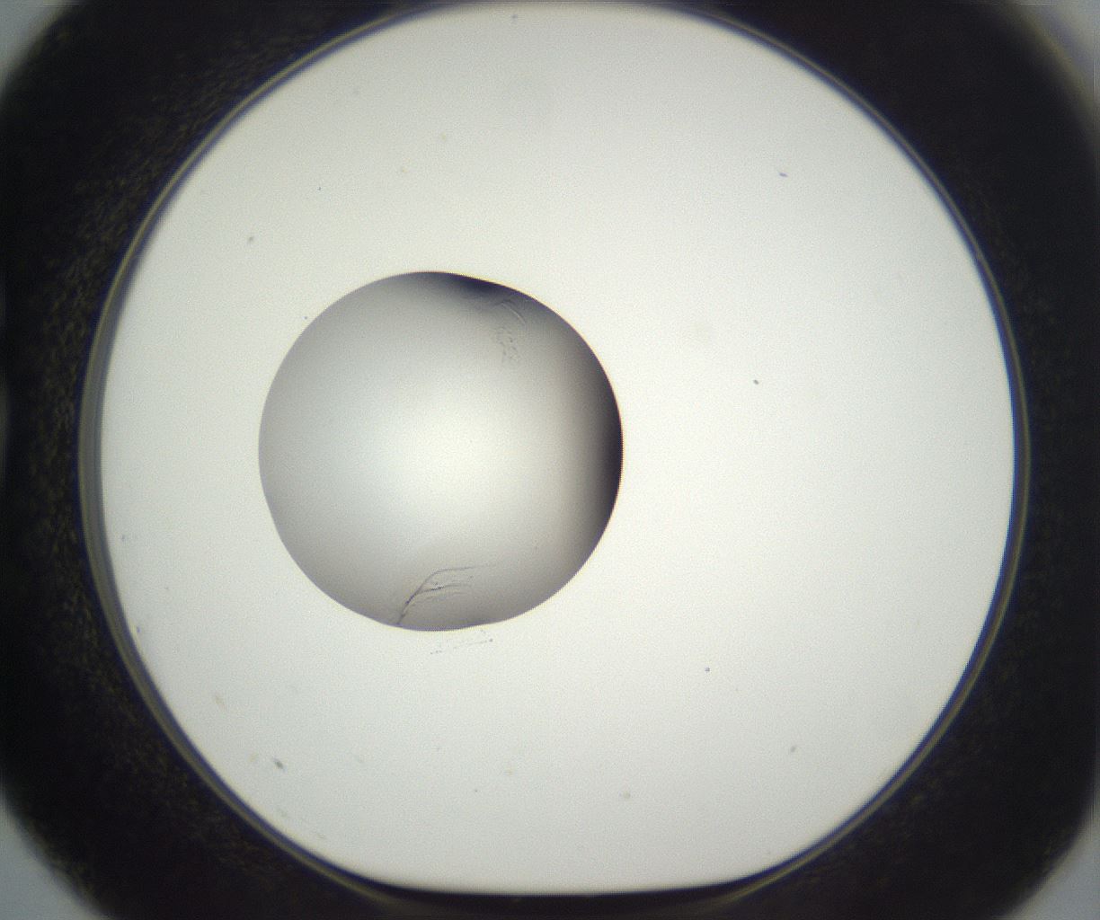 folderID292_plateID3292_batchID19076_wellNum75_profileID1_d1_r290238_ef.jpg