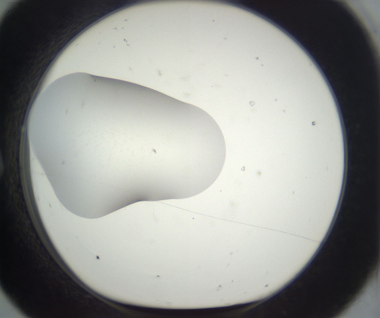 folderID292_plateID3292_batchID19720_wellNum8_profileID1_d1_r290171_ef.jpg