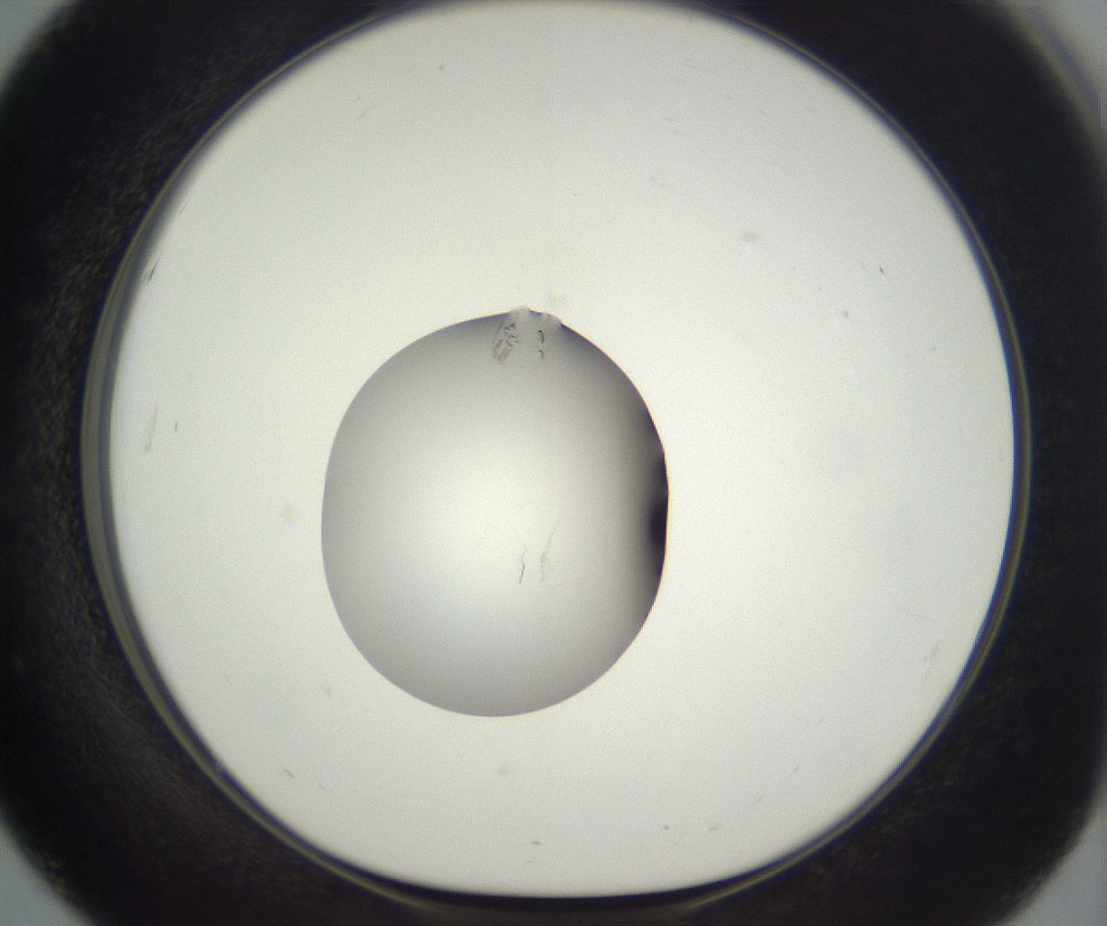 folderID292_plateID3292_batchID20778_wellNum51_profileID1_d1_r290214_ef.jpg