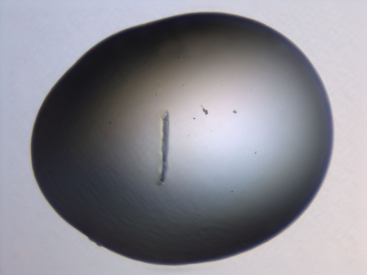 04hw_B1_ImagerDefaults_0.jpg