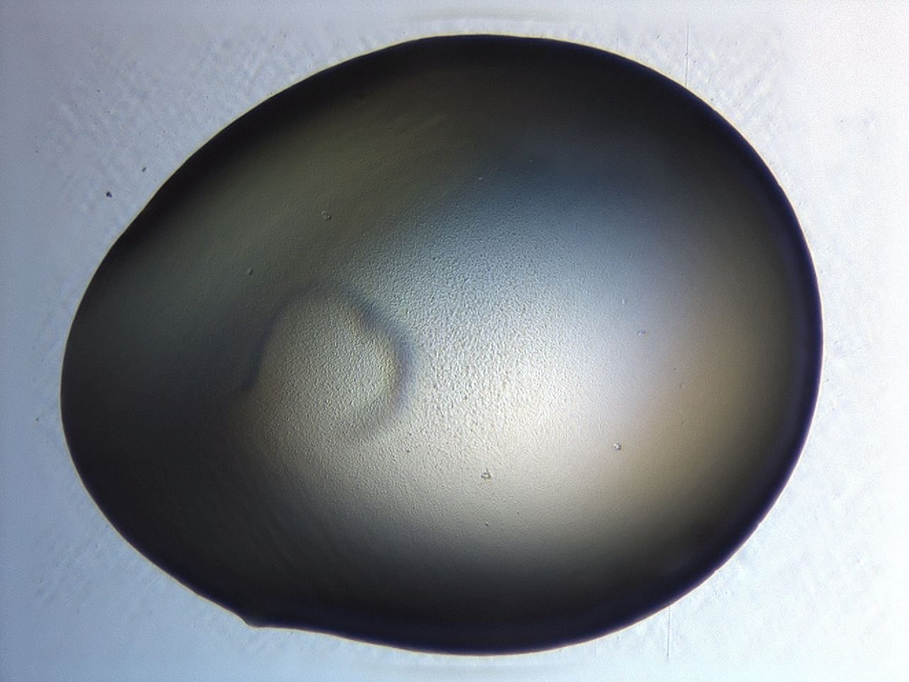 04hw_A10_ImagerDefaults_0.jpg