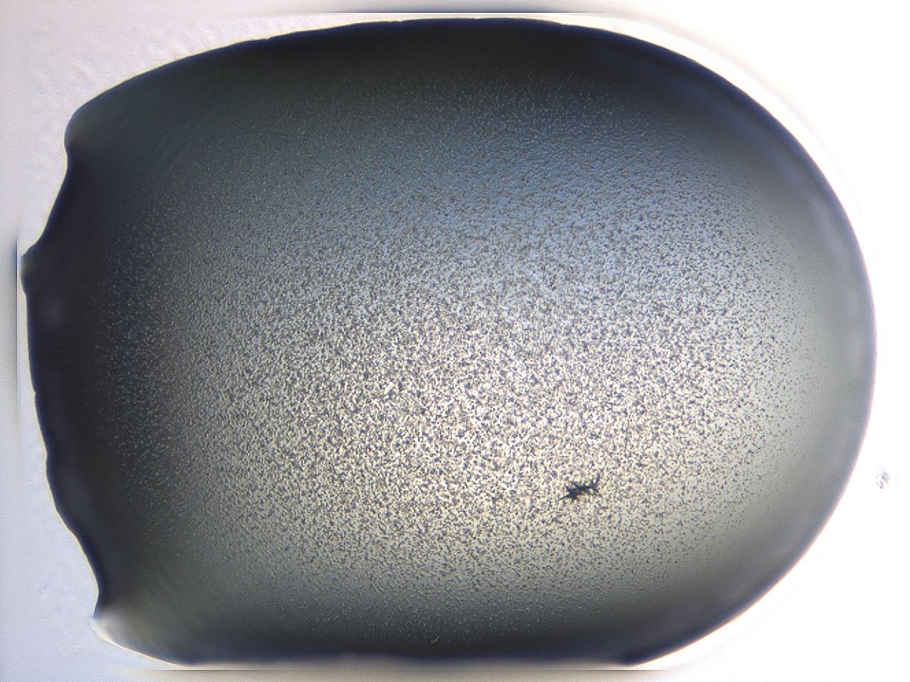04hw_A9_ImagerDefaults_3.jpg