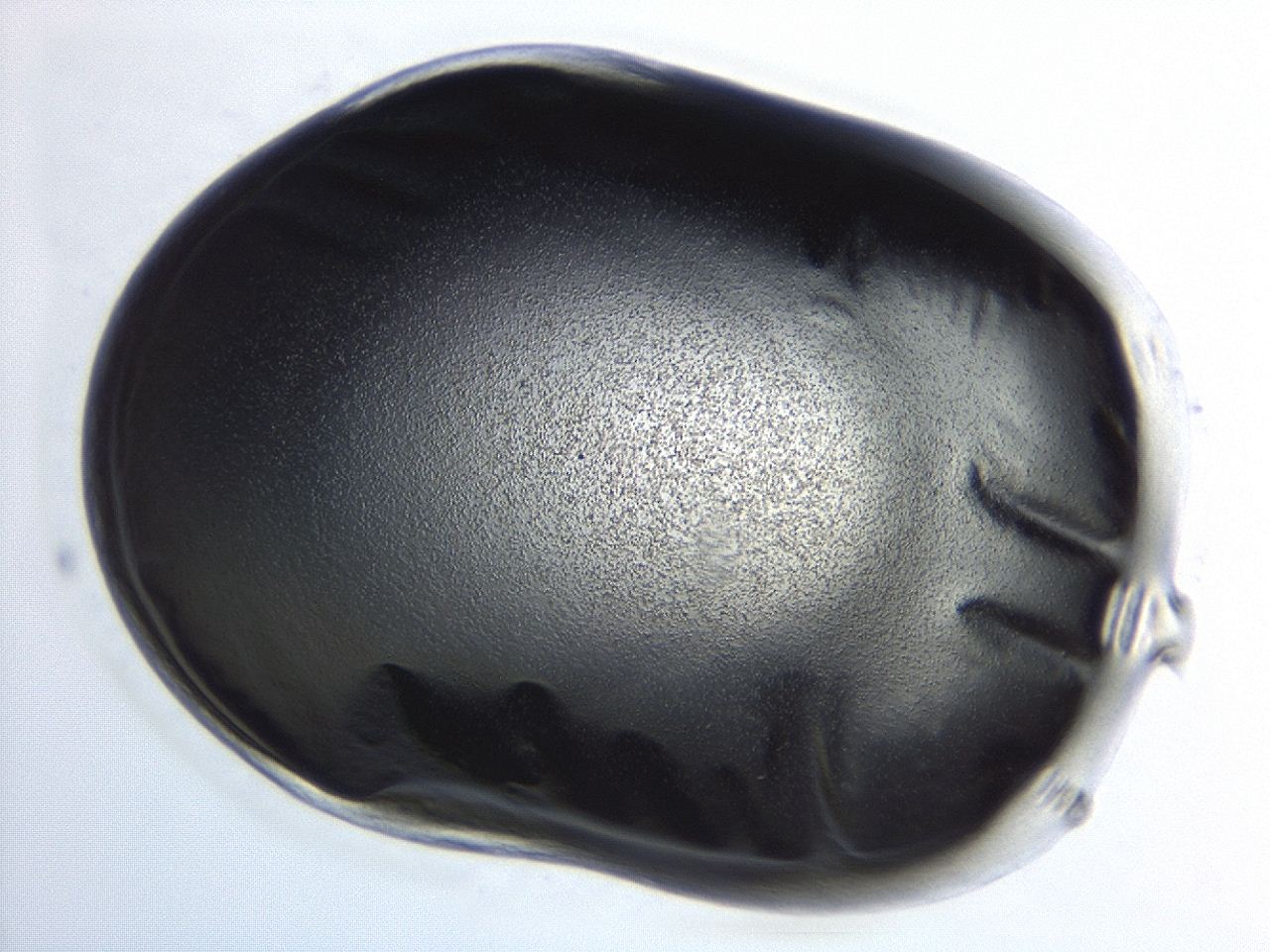 04hw_C1_ImagerDefaults_3.jpg