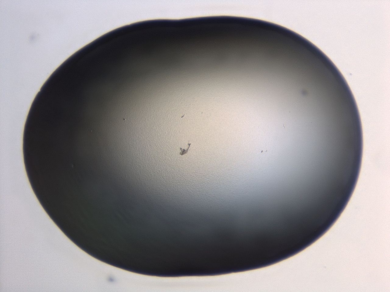 04hw_C2_ImagerDefaults_0.jpg