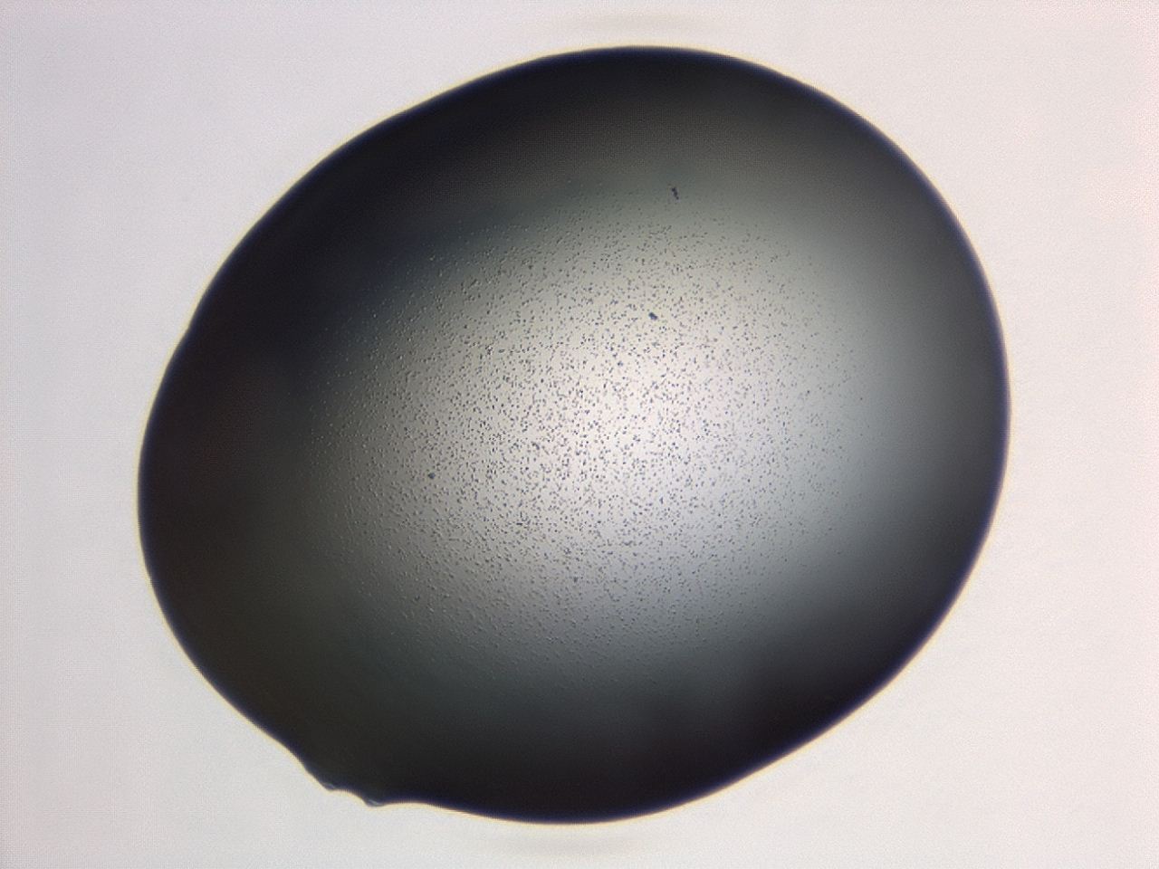 04hw_C3_ImagerDefaults_3.jpg