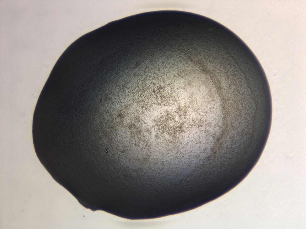 04hw_C6_ImagerDefaults_3.jpg
