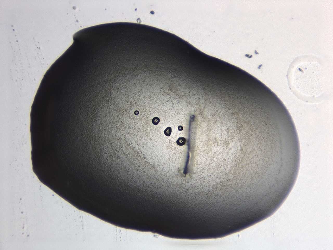 04hw_C7_ImagerDefaults_3.jpg