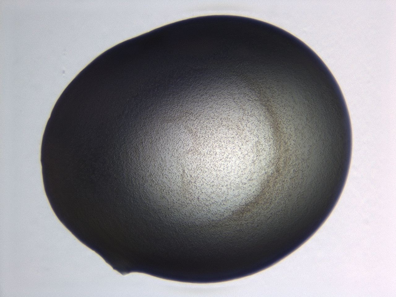 04hw_C9_ImagerDefaults_3.jpg
