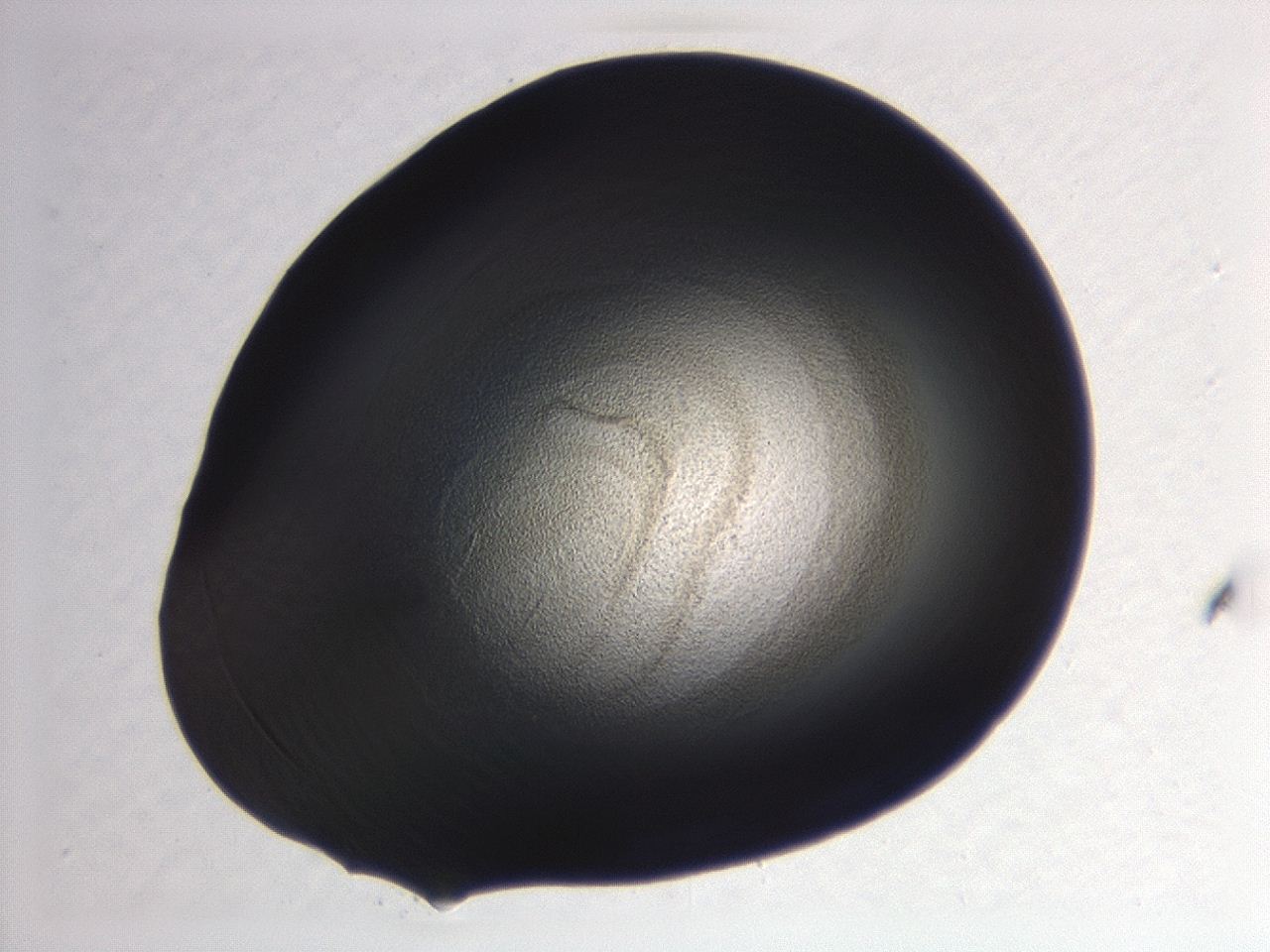 04hw_C10_ImagerDefaults_3.jpg