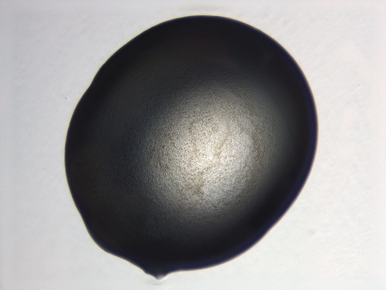 04hw_C11_ImagerDefaults_3.jpg