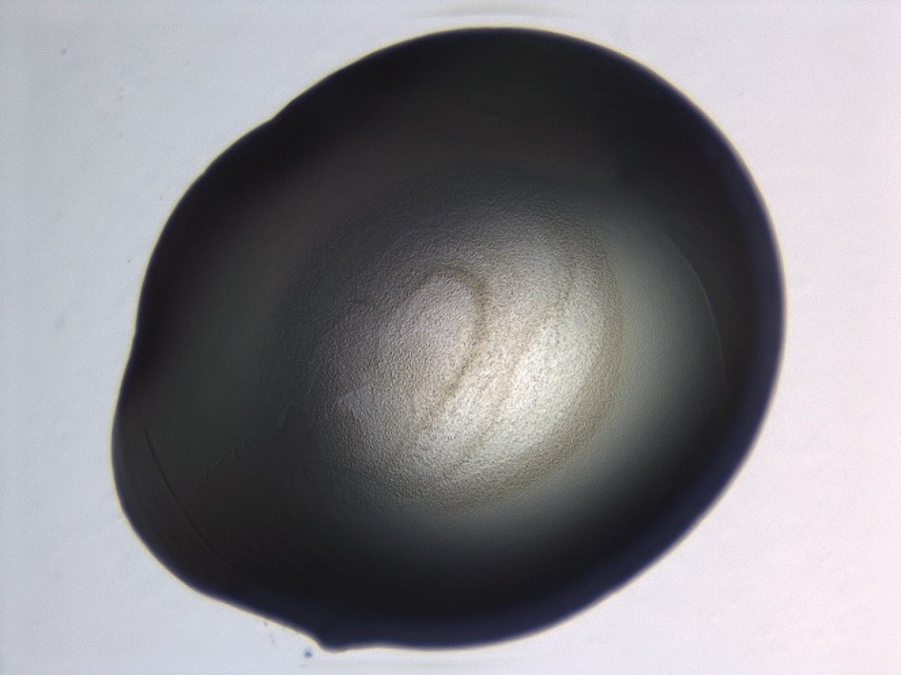 04hw_C12_ImagerDefaults_3.jpg
