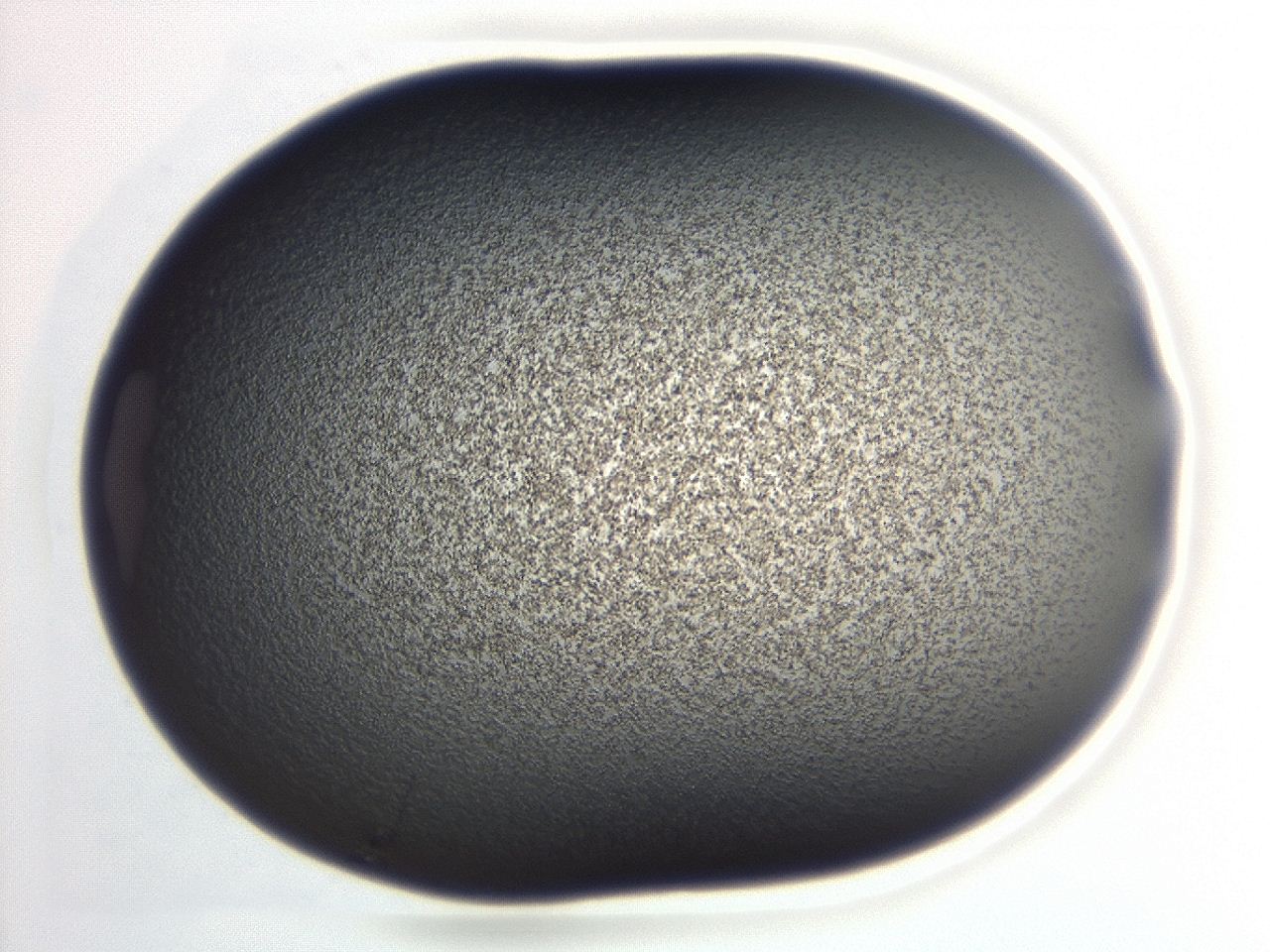 04hw_D1_ImagerDefaults_3.jpg