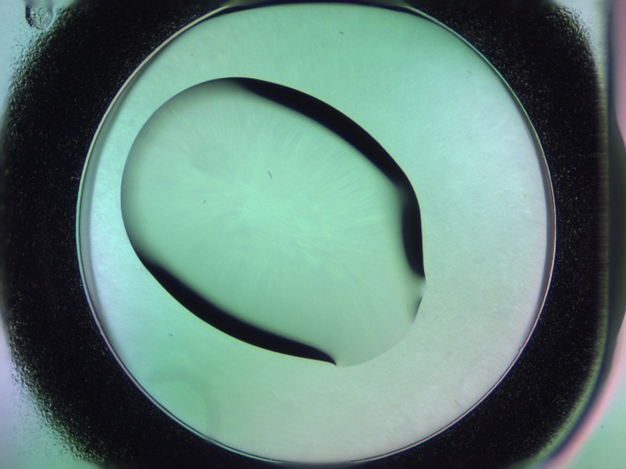 018k_A11_ImagerDefaults_0.jpg