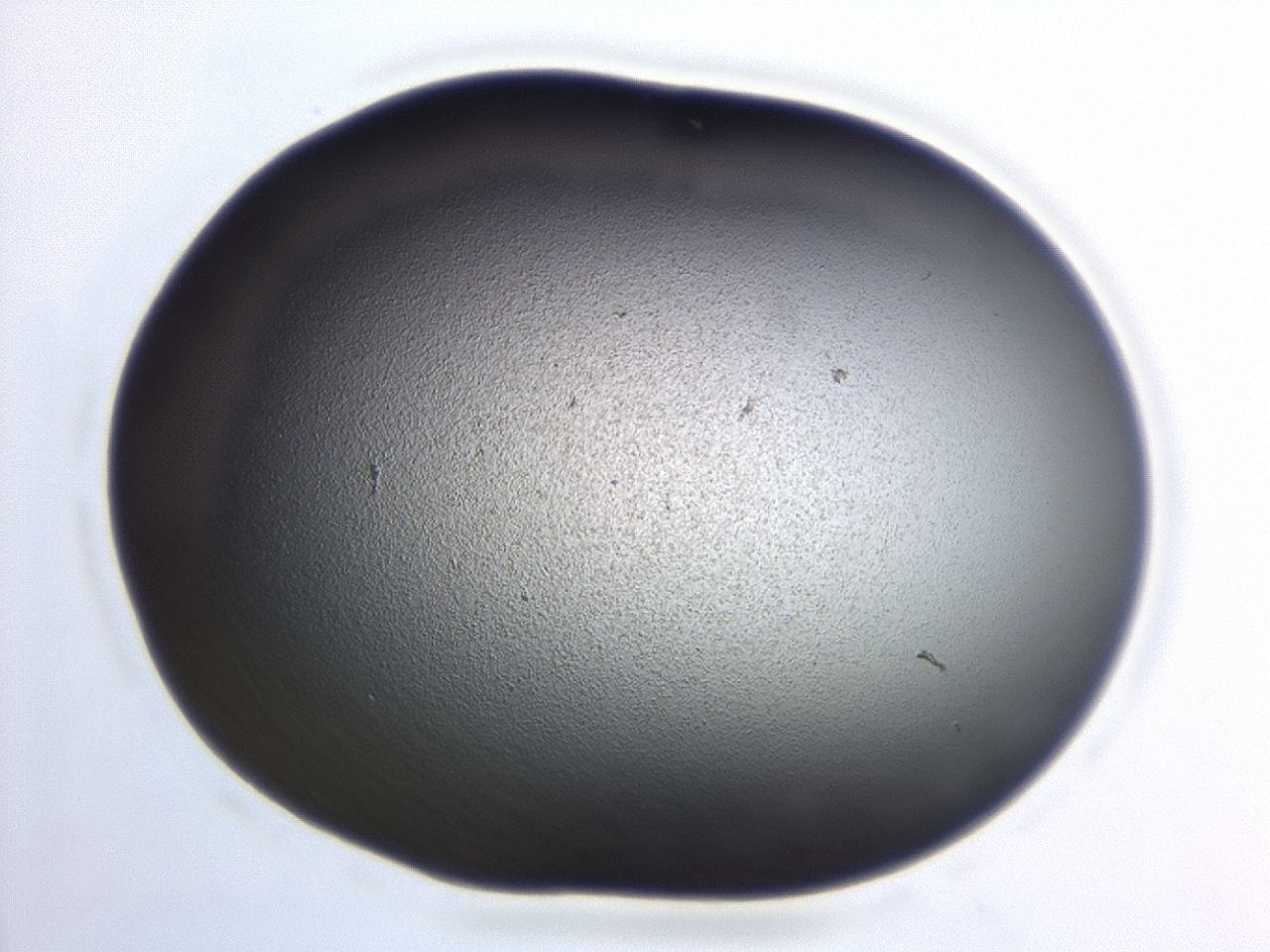 04hw_D2_ImagerDefaults_0.jpg