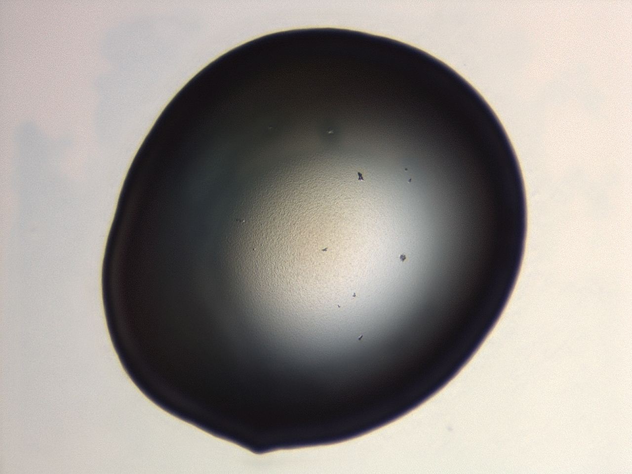 04hw_B12_ImagerDefaults_0.jpg
