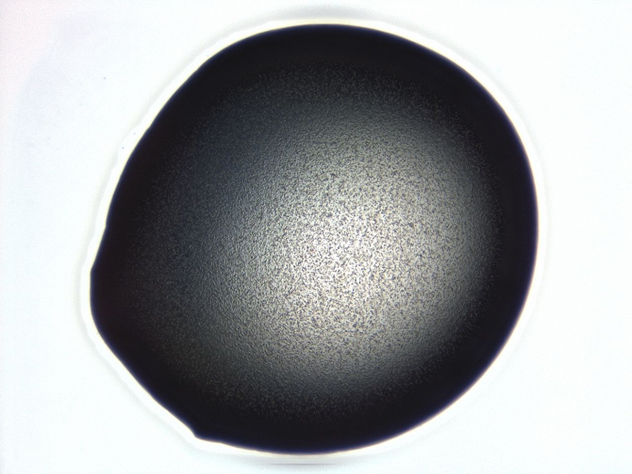 04hw_B11_ImagerDefaults_3.jpg