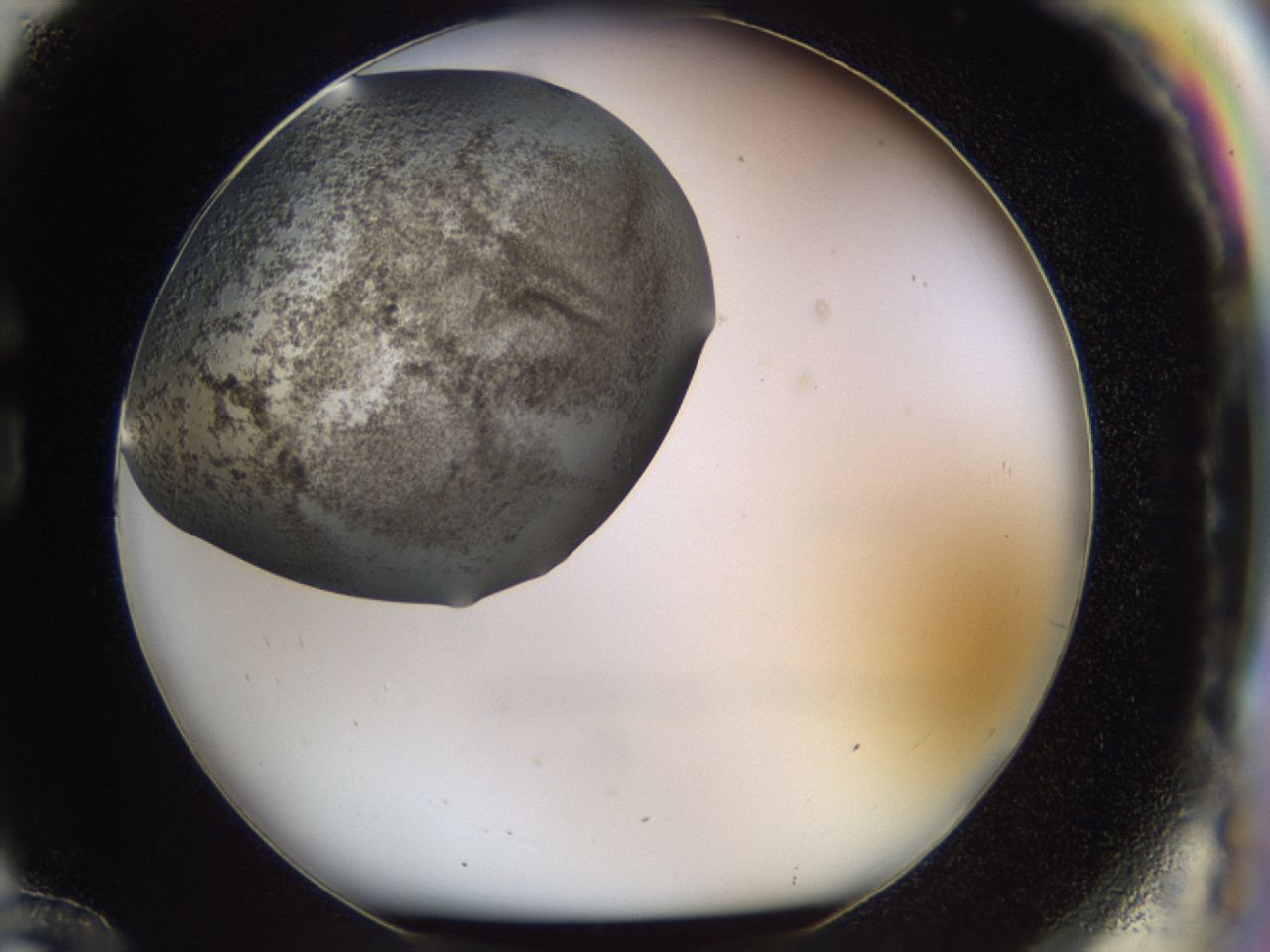 04hz_G12_ImagerDefaults_7.jpg