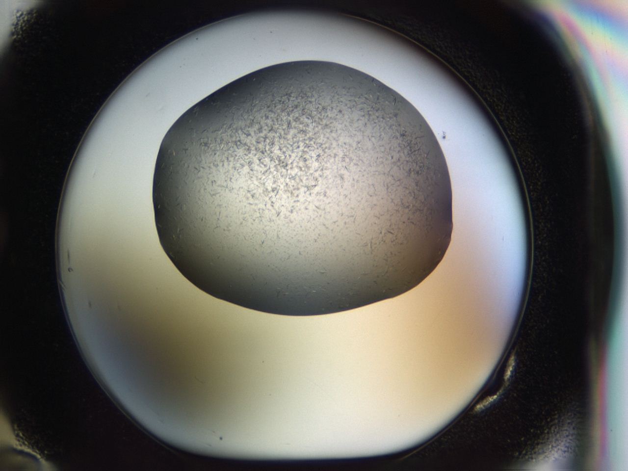 04hz_G10_ImagerDefaults_8.jpg