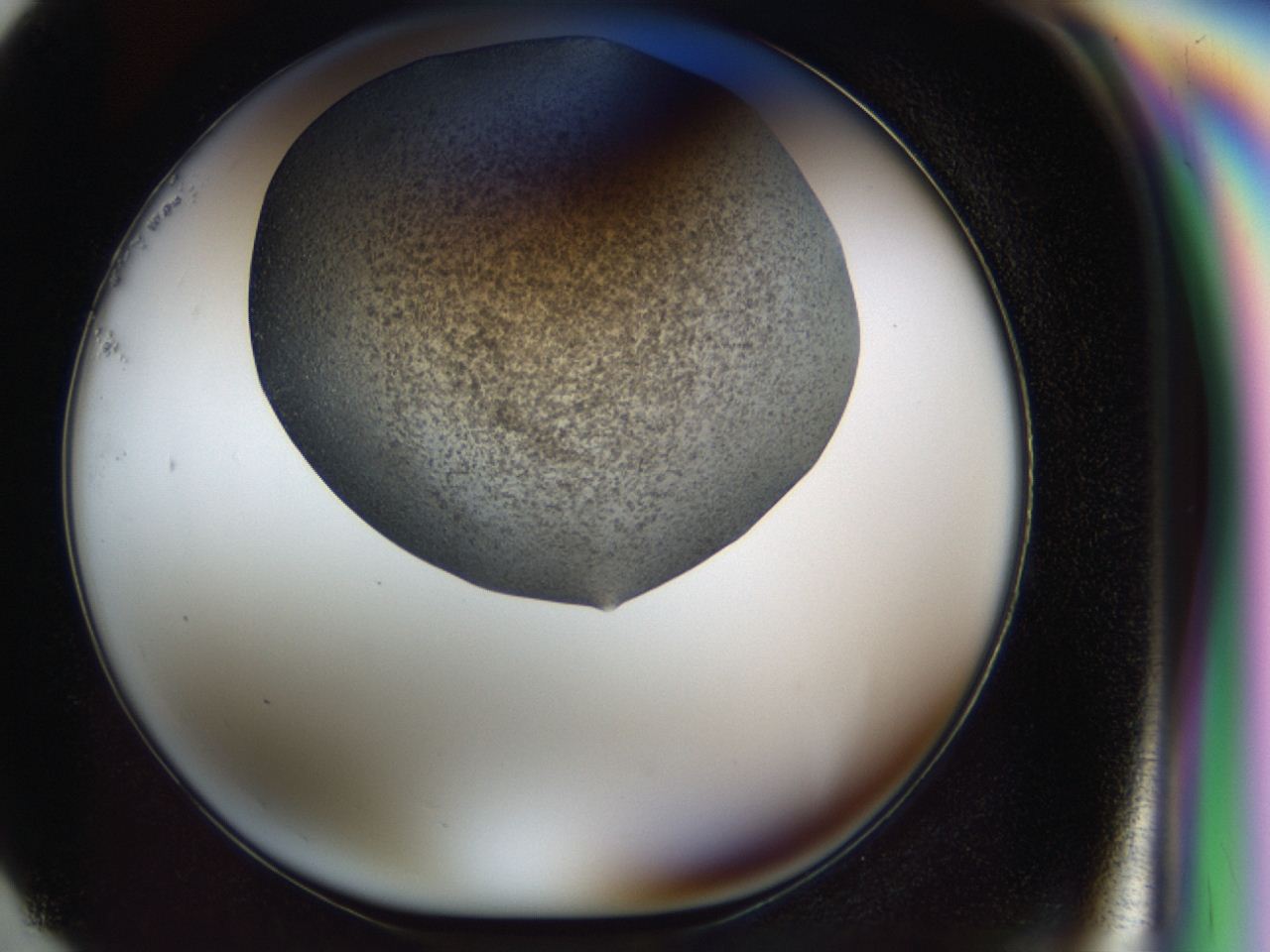 04i0_G1_ImagerDefaults_6.jpg