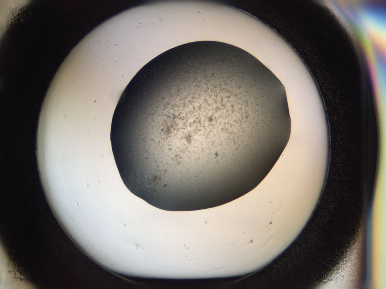 04i0_E7_ImagerDefaults_6.jpg