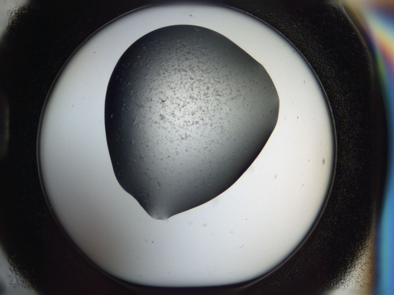 04i0_D6_ImagerDefaults_7.jpg