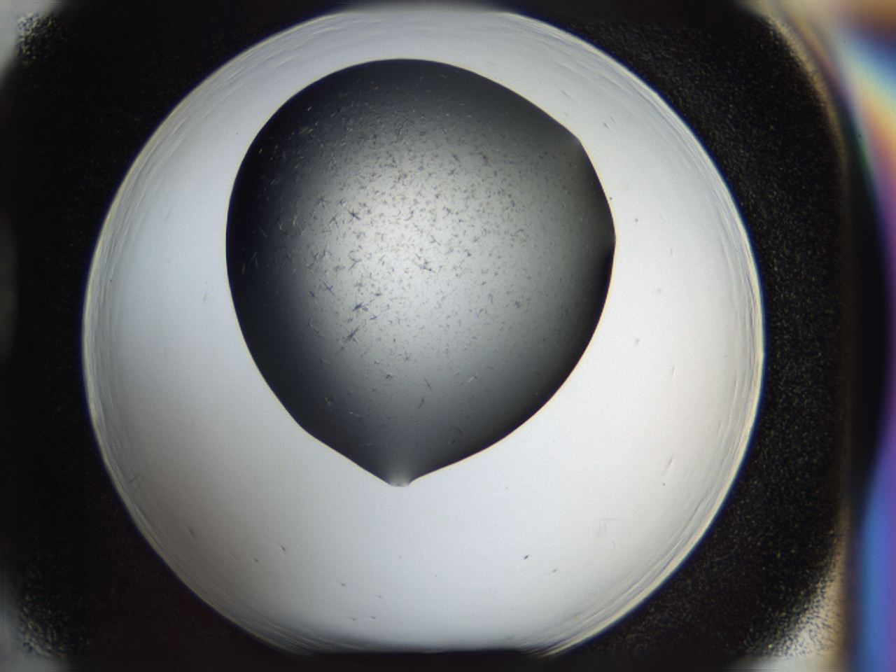 04i0_D5_ImagerDefaults_7.jpg