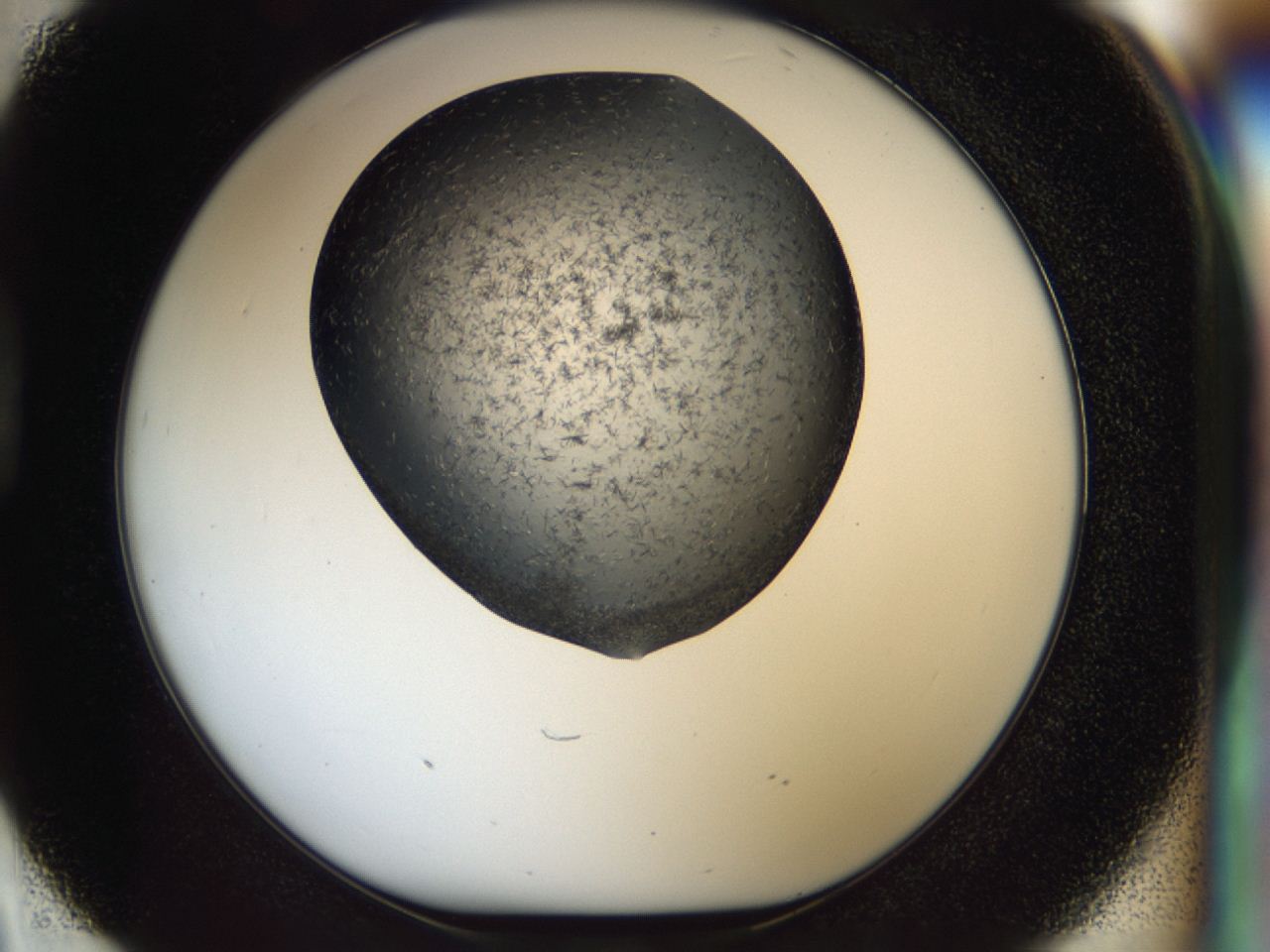 04i0_D2_ImagerDefaults_7.jpg