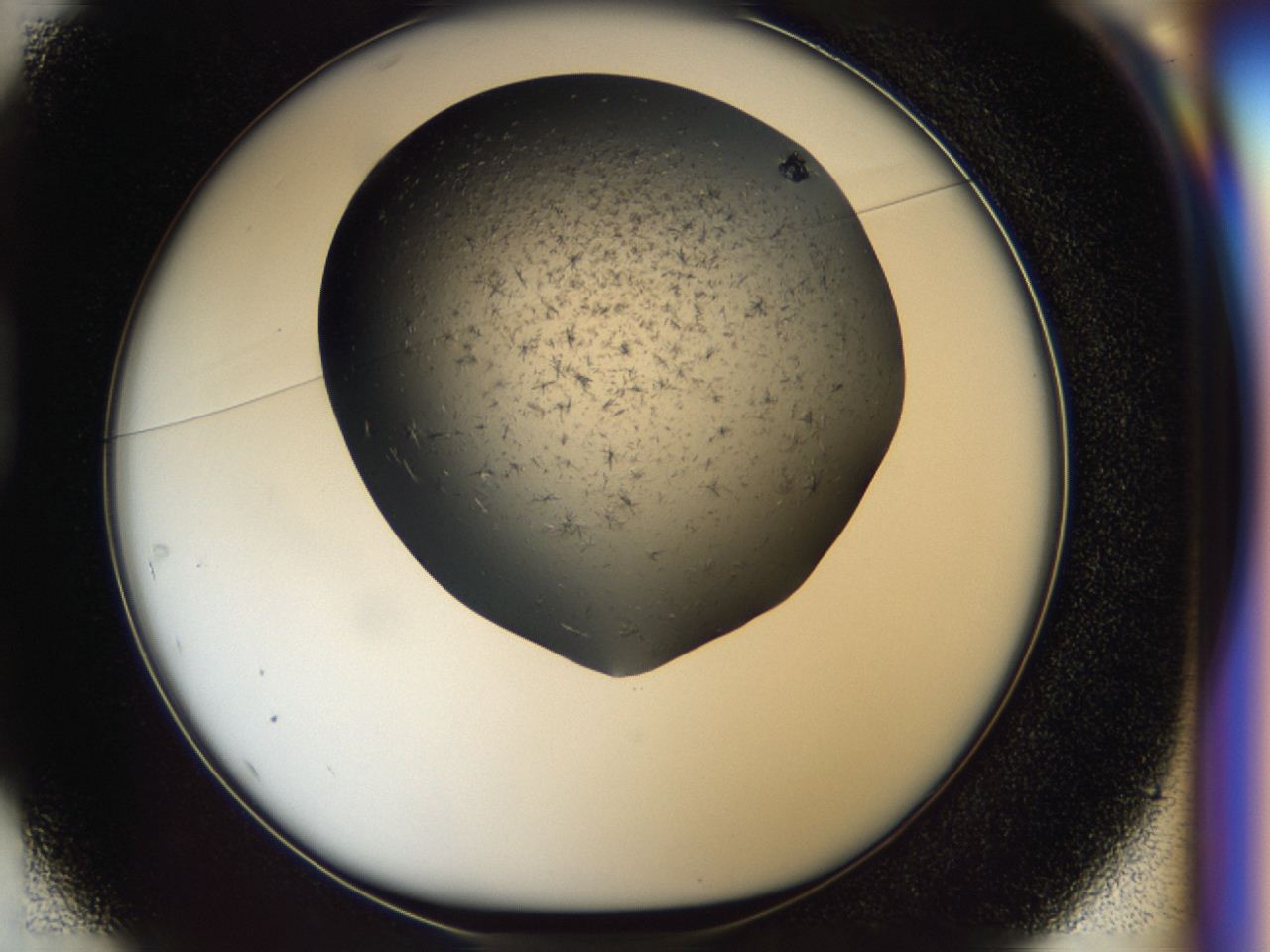04i0_D1_ImagerDefaults_7.jpg