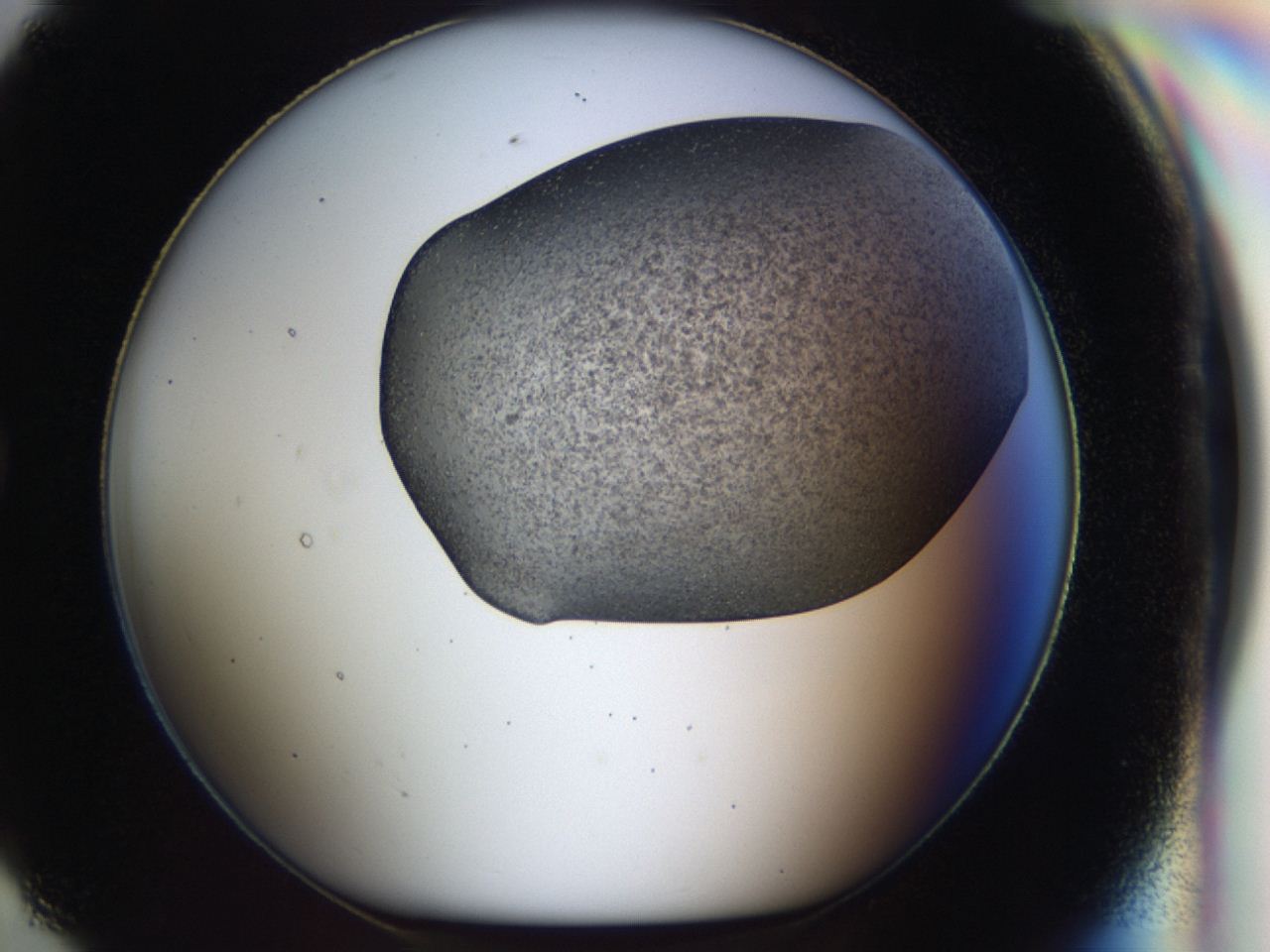 04i0_G7_ImagerDefaults_6.jpg