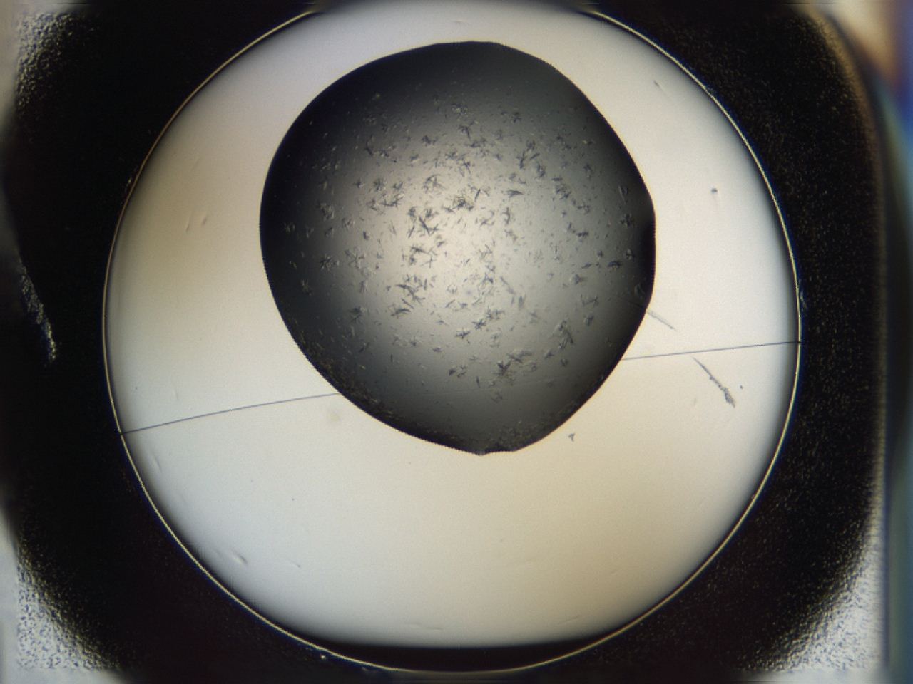 04i0_A1_ImagerDefaults_8.jpg
