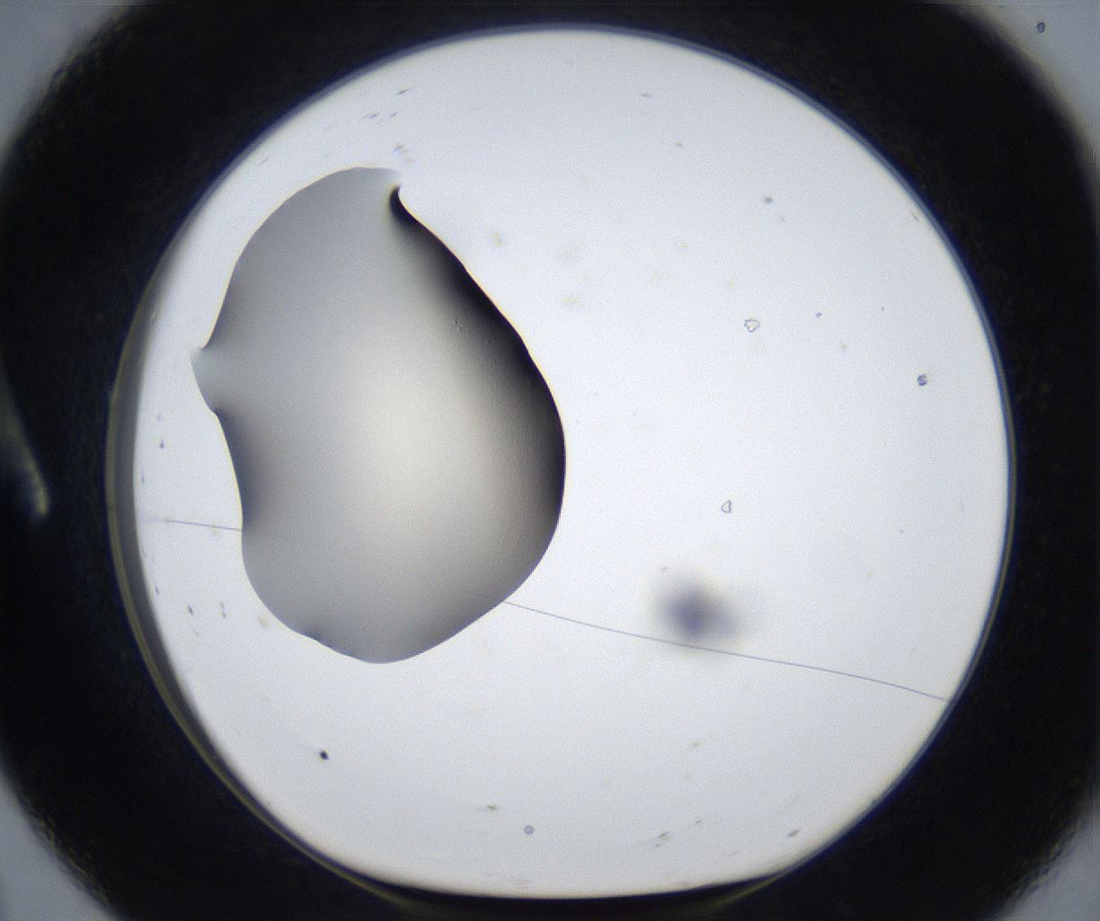 folderID315_plateID3315_batchID19097_wellNum8_profileID1_d1_r291836_ef.jpg
