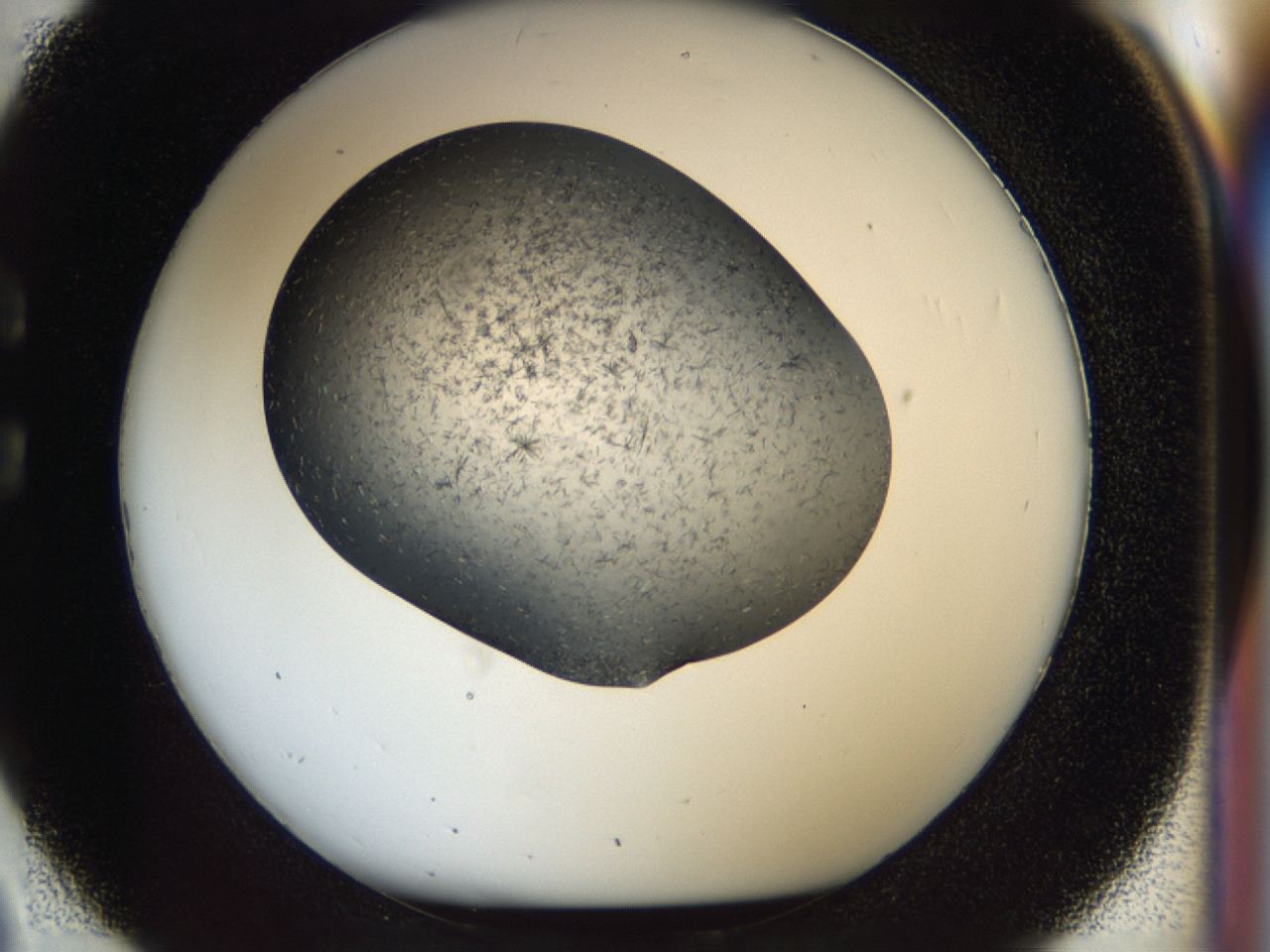 04i0_C2_ImagerDefaults_7.jpg