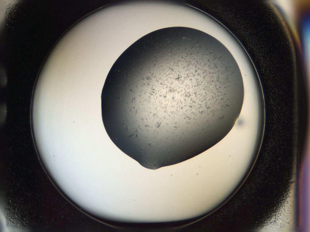 04i0_C3_ImagerDefaults_8.jpg