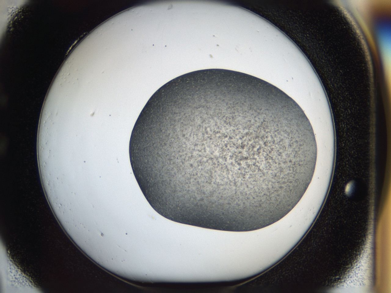 04i0_C4_ImagerDefaults_6.jpg