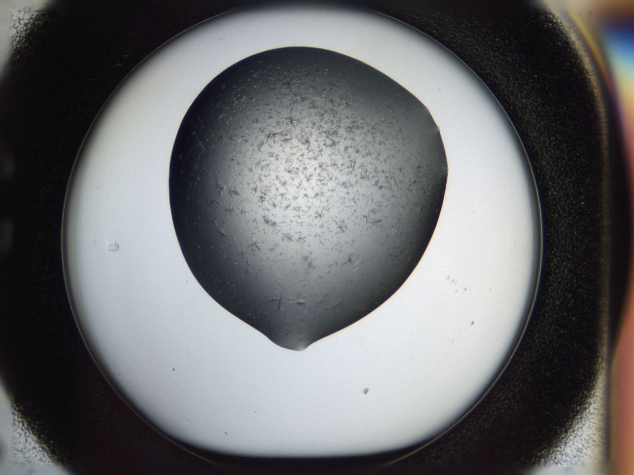 04i0_C5_ImagerDefaults_7.jpg