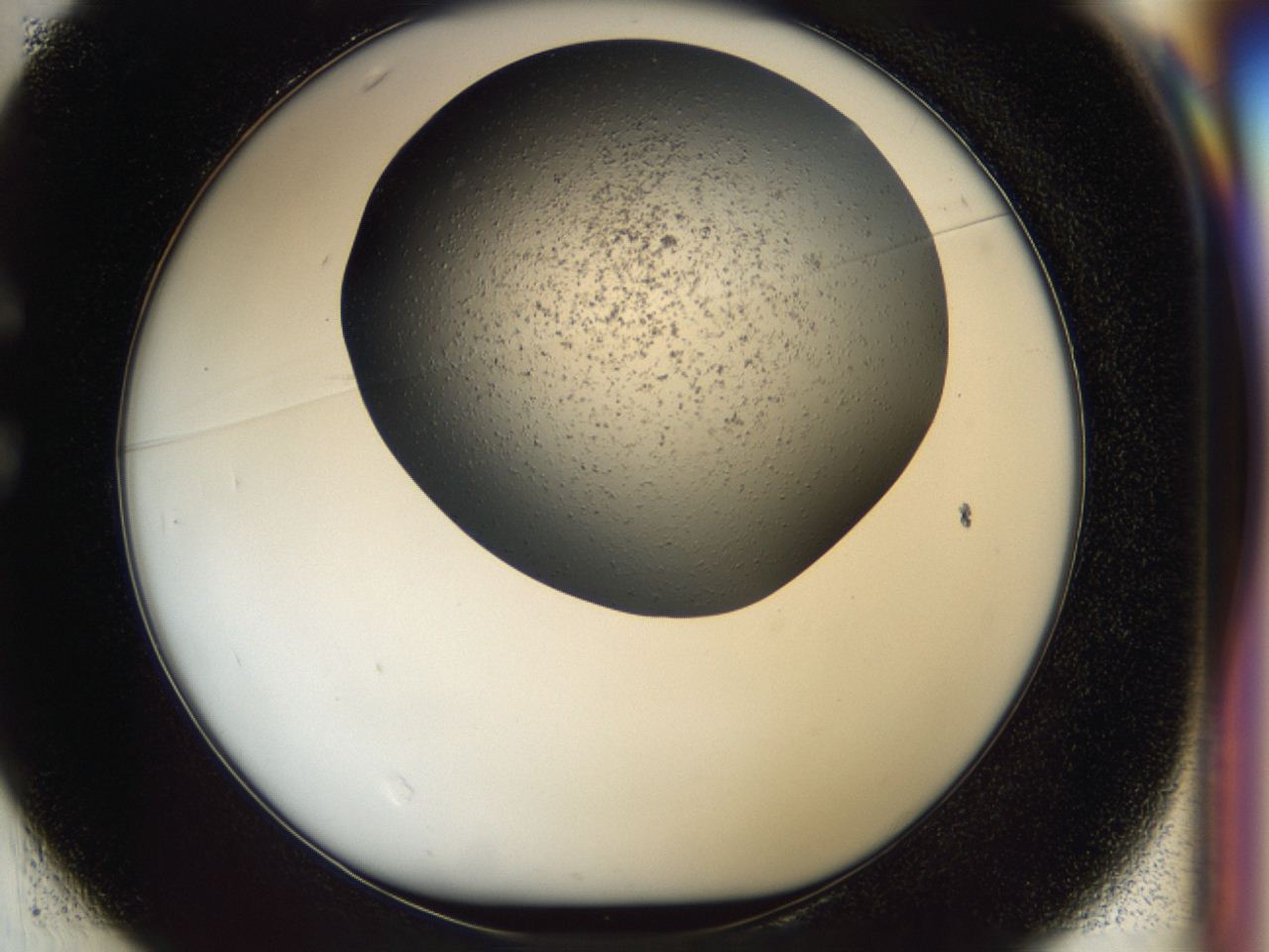 04i1_C1_ImagerDefaults_6.jpg