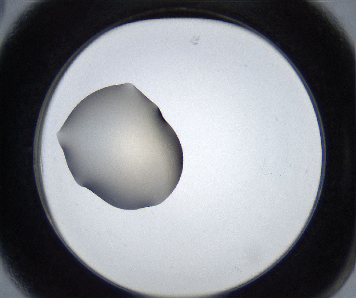folderID315_plateID3315_batchID21410_wellNum6_profileID1_d2_r291833_ef.jpg