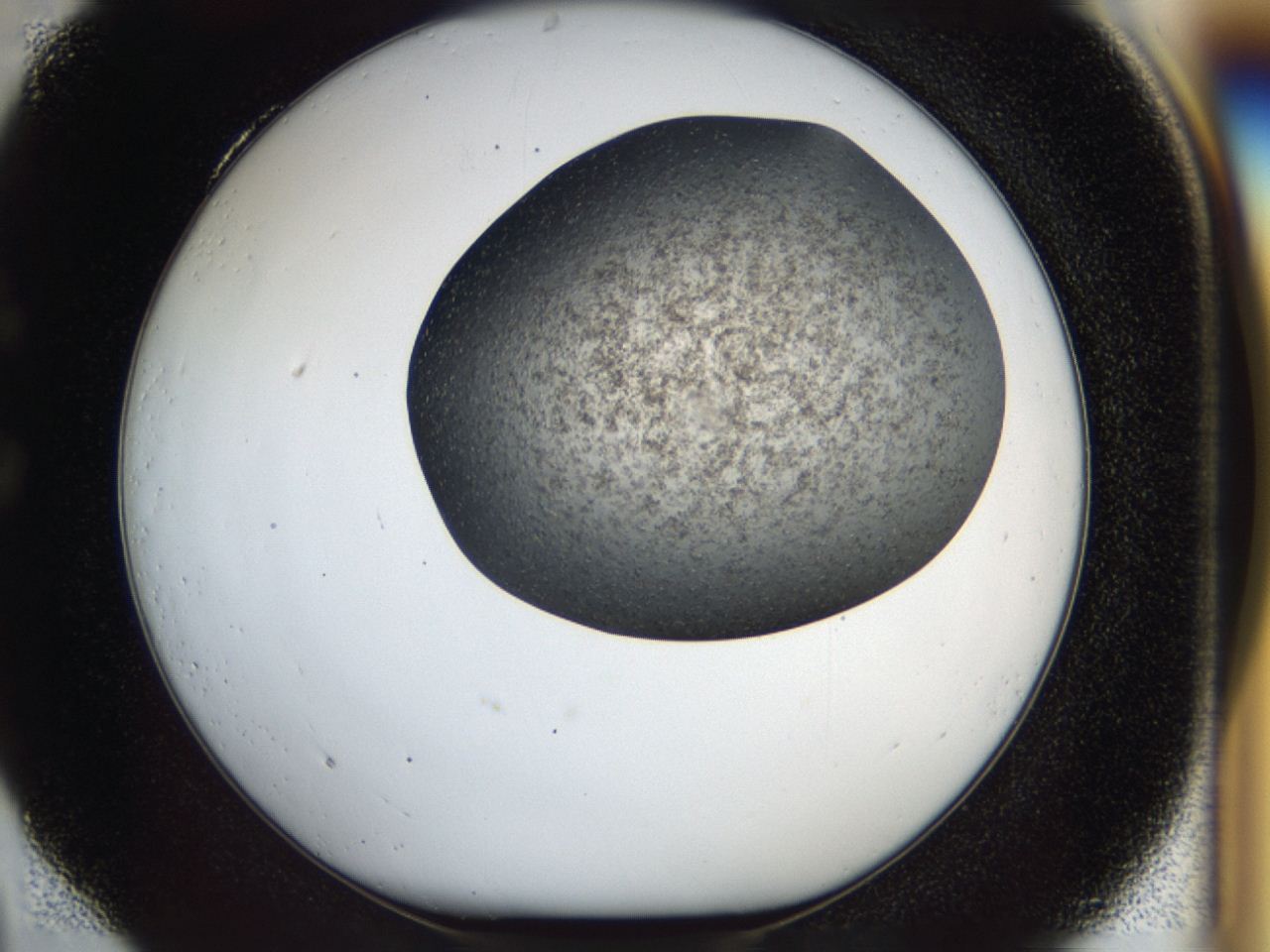 04i1_C4_ImagerDefaults_7.jpg
