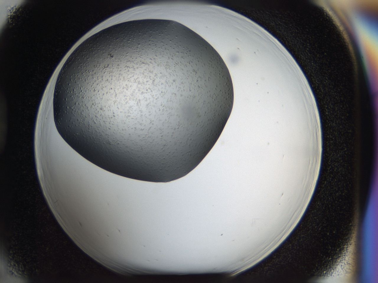 04i1_D5_ImagerDefaults_7.jpg