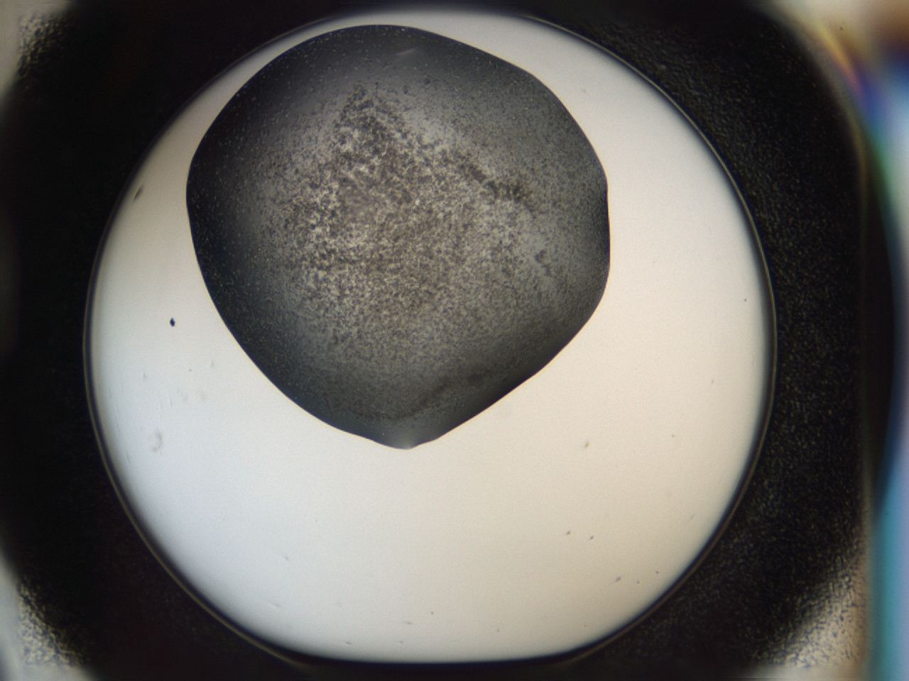 04i1_D8_ImagerDefaults_6.jpg